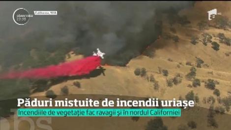 Vremea extremă face prăpăd şi în Canada. Fulgerele au aprins păduri şi peste trei mii de locuinţe au fost evacuate