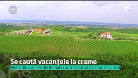 Se caută vacanțele la crame. Tot mai mulţi români aleg excursiile în care pot degusta licoarea bahică