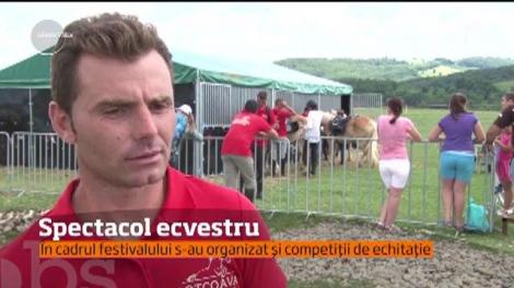 Spectacol ecvestru la Haidook Summer Fest