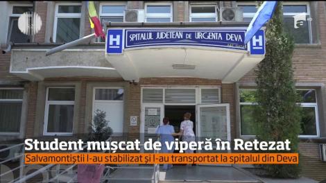 Student mușcat de viperă în Munţii Retezat