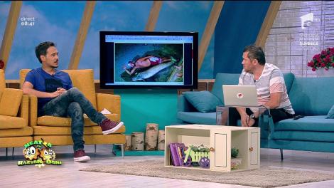 Smiley News. Cine ar fi crezut. Somn uriaș de aproape doi metri prins în râul Jiu!