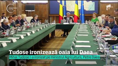 Momente amuzante la Palatul Victoria. Mihai Tudose l-a ironizat pe ministrul Agriculturii Petre Daea