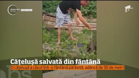Operaţiune dificilă de salvare! O căţeluşa a fost salvată dintr-o fântână adâncă de 30 de metri
