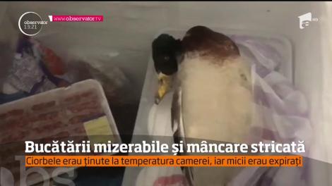 Descoperiri șocante, în restaurantele de pe litoral. O rață cu pene aruncată în congelator și bucăți de carne mușcate , gata să fie presărate pe pizza