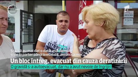 Au vrut să scape blocul de şobolani, dar au intoxicat zeci de locatari