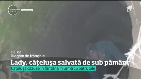 Un bărbat de 66 de ani s-a chinuit, ore în şir, să ajungă la o căţeluşă blocată într-o fântână adâncă. Şi-a riscat viaţa, ca să o salveze
