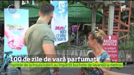 100 de buchete de levănţică pentru 100 de zile de vară parfumate!