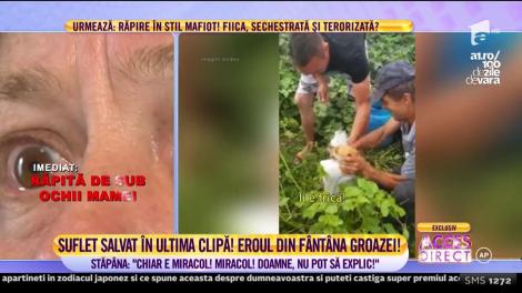 Şi-a pus viaţa în pericol pentru a salva de la moarte o căţeluşă! Gestul impresionant făcut de un bărbat de 48 de ani