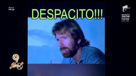 Smiley News. Cum ascultă Chuck Norris melodia Despacito