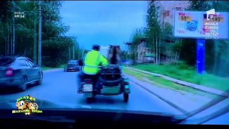 Asta-i cea mai tare fază! Moș Martin, ”călare” pe-o mobră, salută respectuos! De aici vine expresia "Plimbă Ursul”?!