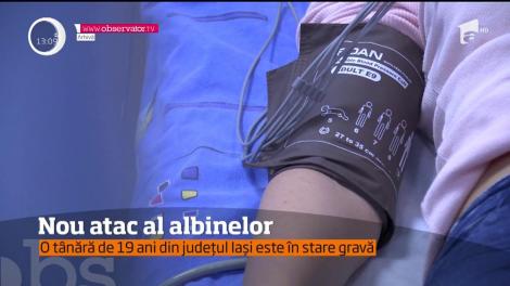 O tânăra de 19 ani, din judeţ Iaşi, a fost atacată de un roi de albine