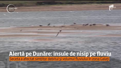 Dunărea a secat şi pune în pericol navigaţia. În unele locuri, adâncimea a scăzut la un metru