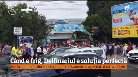 Aglomeraţie la Delfinariul din Constanţa
