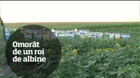 Observator TV 18/07/2017 - Ştirile zilei într-un minut