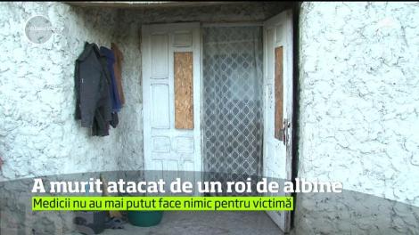 Tragedie într-o comună din Iaşi! Un bărbat în vârstă de 49 de ani a murit după ce a fost înţepat. de peste o mie de albine!
