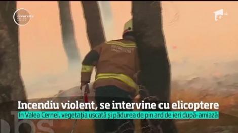 Parcul Naţional Domogled, amenințat de un incendiu uriaş de vegetaţie