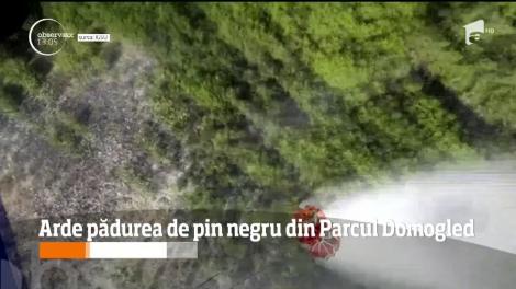 Se scurg clipe tensionate în Parcul Naţional Domogled, din judeţul Mehedinţi, parc aflat în patrimoniul UNESCO