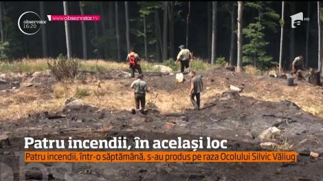 Pe Semenic, un incendiu s-a reaprins! Este pentru a patru oară în doar o săptămână