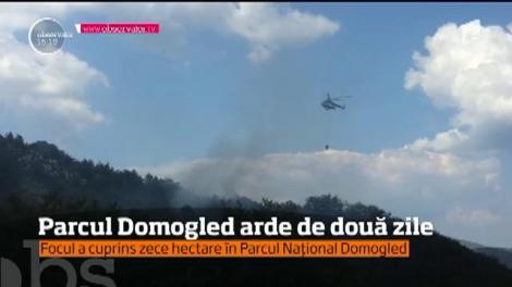 Incendiul din Parcul Naţional Domogled, de pe Valea Cernei, nu a putut fi stins nici până la această oră
