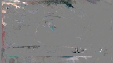 Patronii de pe litoralul românesc, bani frumoși pentru servicii mizere