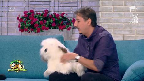 Când e vorba de râs cu lacrimi, oamenii de la iUmor sunt la datorie Vă amintiți de ventrilocul Eduard Sandu? Acum și-a luat câine și face show