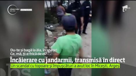 Noapte agitată pentru jandarmii şi mascaţii din Argeş. Au fost nevoiţi să se lupte cu hoţii prinşi că furau lemne din pădure