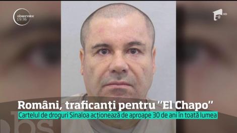 emutul cartel de droguri mexican condus de celebrul El Chapo colaborează cu traficanţi români pentru a aduce stupefiante pe teritoriul Marii Britanii
