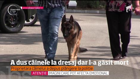 Întâmplare şocantă şi revoltătoare deopotrivă în Craiova