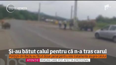 Imagini nerecomandate minorilor. Doi bărbaţi şi-au bătut calul pentru că nu a tras căruța
