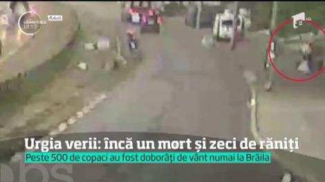 Urgie la Brăila, unde nu mai puţin de 500 de copaci au distrus localitatea