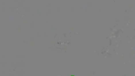 După ani de chinuri , captive în Fâşia Gaza, trei surori s-au întors în România