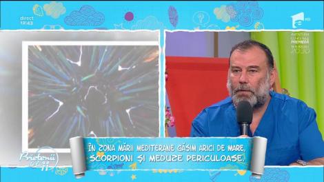 Pericolele din vacanță, în funcție de zonele lumii