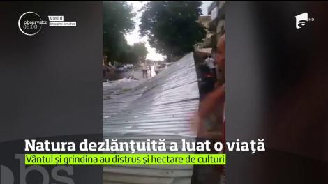 Natura s-a dezlănţuit din nou şi a început să ucidă