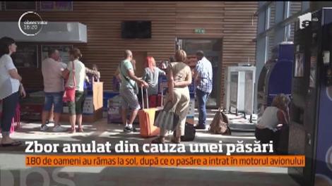180 de oameni au rămas la sol, după ce o pasăre a intrat în motorul avionului
