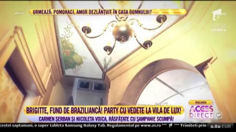 Brigitte Năstase, petrecere cu vedete la vila de lux de la Timișoara