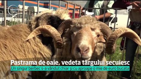 Pastrama de oaie, vedeta târgului secuiesc din Miercurea Ciuc