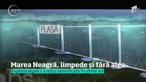 Explicaţiile specialiştilor pentru culoarea deschisă a Mării Negre şi lipsa algelor