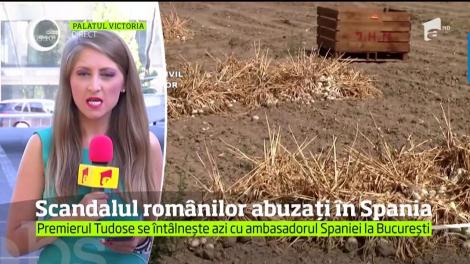 Drama prin care au trecut cei 24 de români, deveniţi sclavi pe o plantaţie de usturoi în Spania, va fi discutată la Guvern
