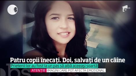 Patru copii înecati în apele râului Mureş. Doi dintre ei au fost salvați de un câine