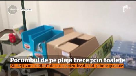 Ce se întâmplă cu porumbul fiert, înainte de a fi cumpărat de turiști, pe plajă. Este pus la fiert, după ce trece printr-un jet de apă, într-o toaletă mizerabilă