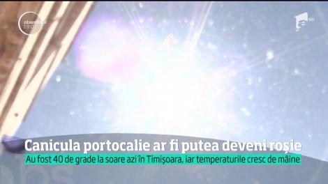 Cod portocaliu de caniculă pentru un sfert din țară