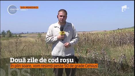 Atenţie, nu ieşiţi din casă în acest sfârşit de săptămână, decât dacă aveţi probleme urgente!