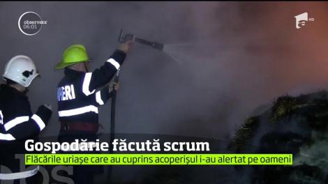 Munca de-o vară a unei familii din Dej s-a facut scrum