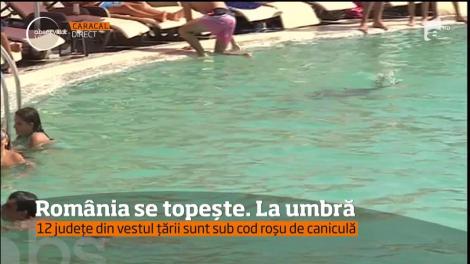 12 județe din vestul țării sunt sub cod roșu de caniculă