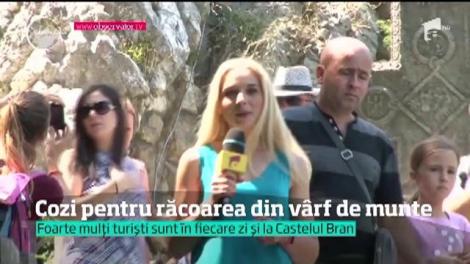 Există locuri la care canicula nu poate ajunge. Pe piscurile din Bucegi, sunt temperaturi de început de primăvară