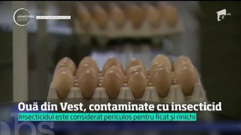România e din nou în mijlocul unui scandal uriaş din alimentaţie. Ouăle contaminate din Germania provin de la găini tratate cu medicamente din ţara noastră