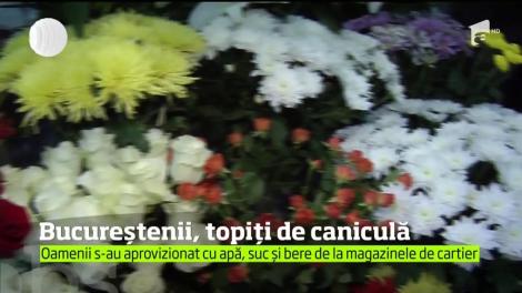 Cod roşu de caniculă pentru aproape jumătate de ţară. Bucureştenii au ieşit noaptea la plimbare