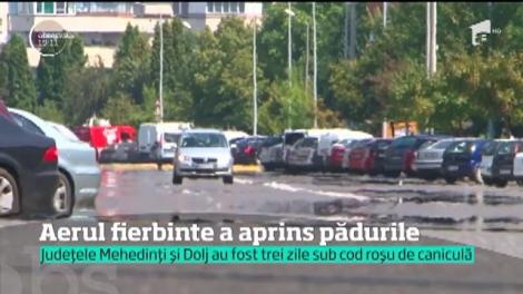 A treia zi de caniculă a aprins pădurile în Mehedinţi şi câmpurile în Dolj! Au fost 46 de grade la soare