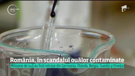 Milioane de ouă toxice au pus Europa pe jar, iar străinii arată cu degetul spre România în cel mai mare scandal alimentar