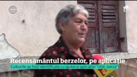 În 200 de metri, uite barza! A apărut primul GPS care monitorizează cuiburi de berze